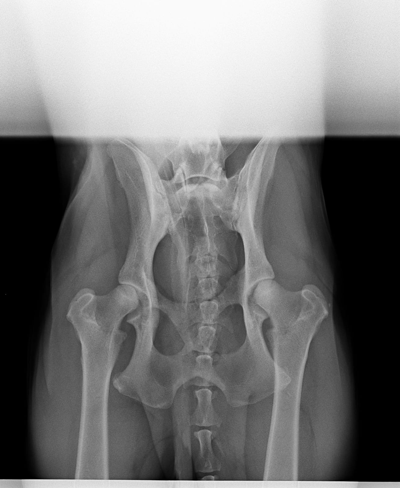 Quelle Foto Cornelia Scholze-Gotthardt