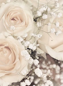 淡い色合いのお花のイメージ画像