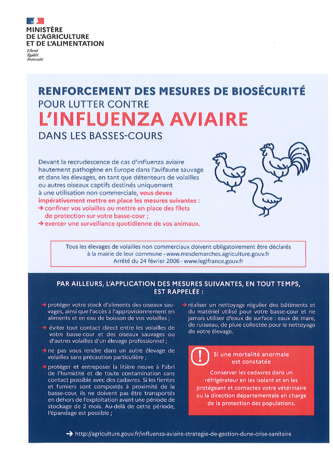Influenza aviaire