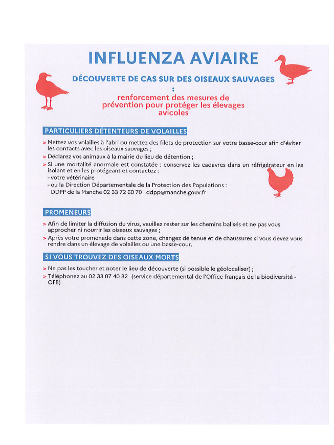 Influenza aviaire