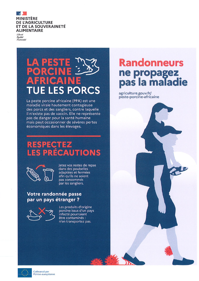 La peste porcine africaine