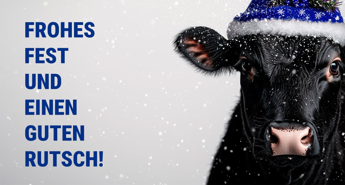 Jahresrückblick 2024 - Frohe Festtage