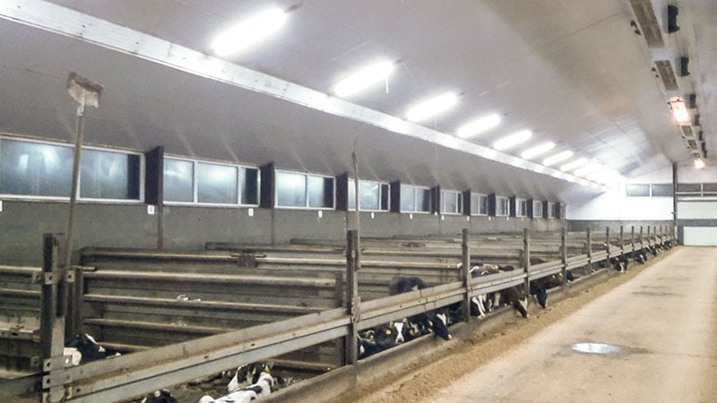 Stalleuchte von Menken & Drees