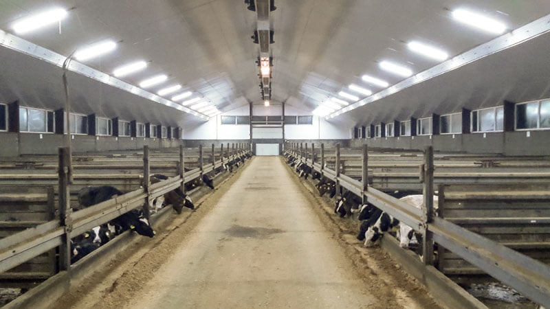 Stalleuchten von Menken & Drees