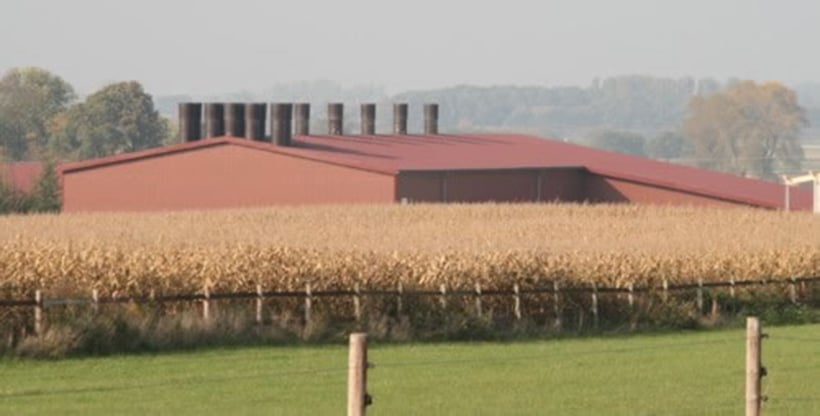 Stallklimamaßnahmen im Betrieb Middendorf aus Billerbeck