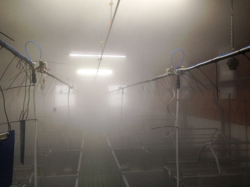 Hochdruckverneblung für Ställe