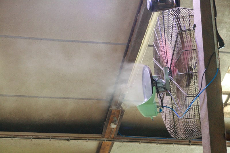 Friggy Wasservernebler im Praxiseinsatz