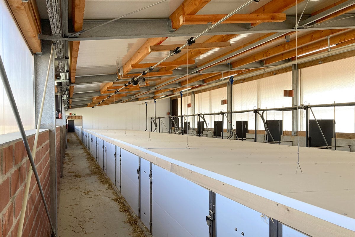 Außenklimastall Haltungsstufe 4 (Pig Port)