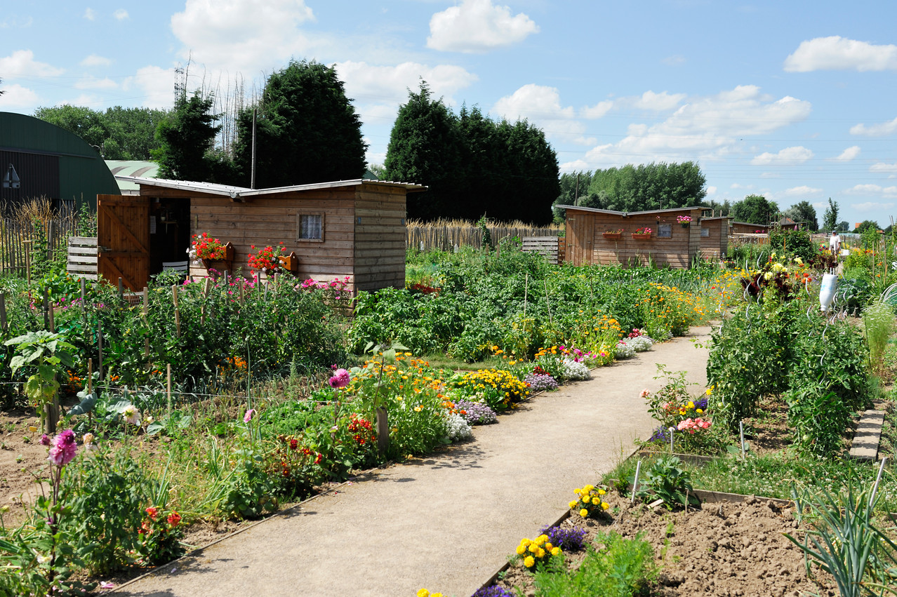 Wambrechies par Richard Soberka