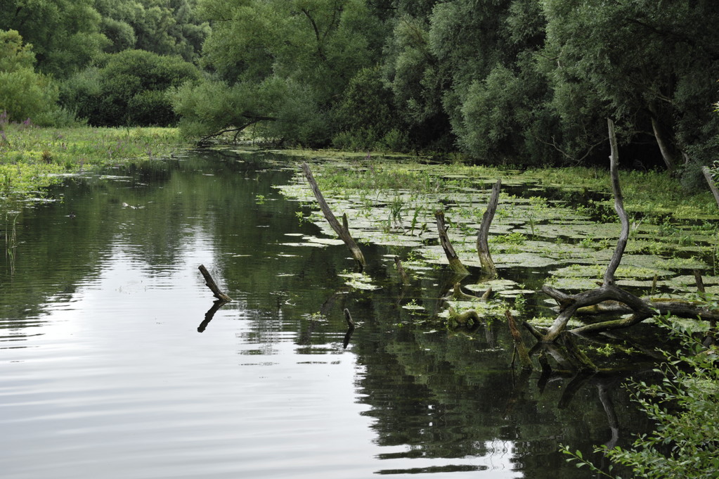 De l'eau et encore de l'eau au parc! - Richard Soberka