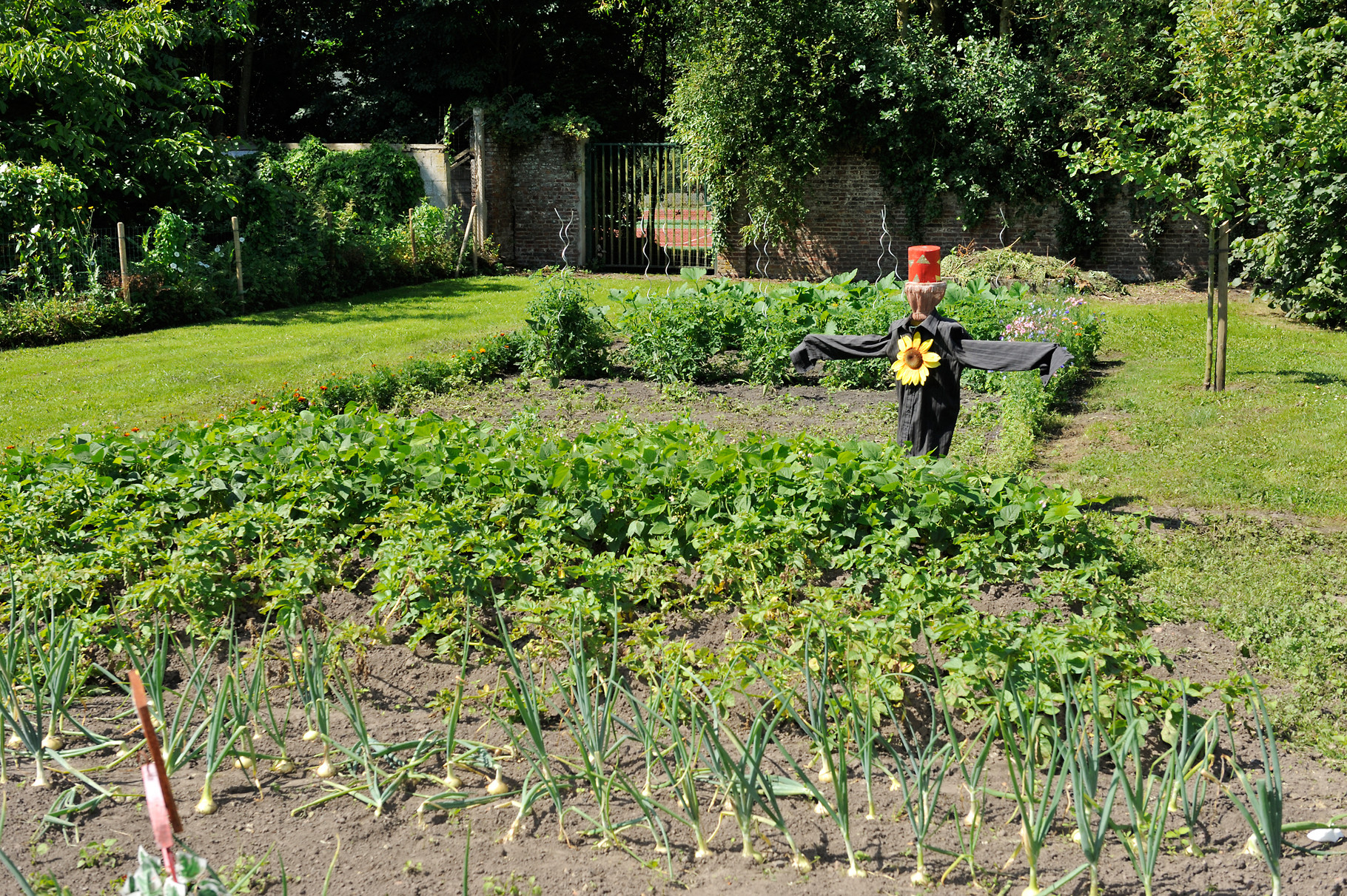 Potager pédagogique à Sailly-Sur-La-Lys par Richard Soberka