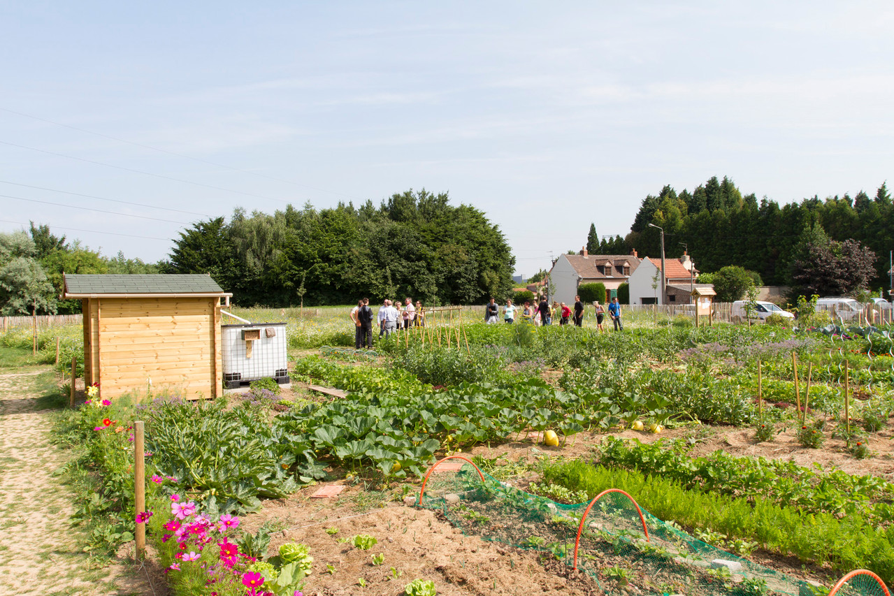 Billy Berclau par Laurent Mayeux