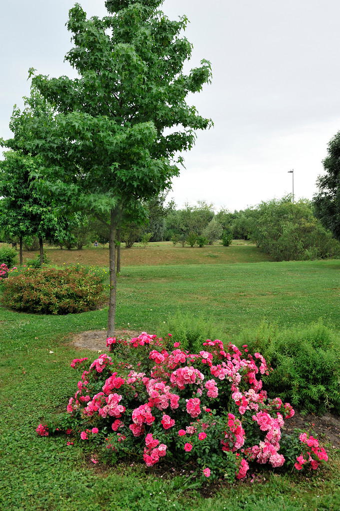 Marquette-Lez-Lille par Richard Soberka