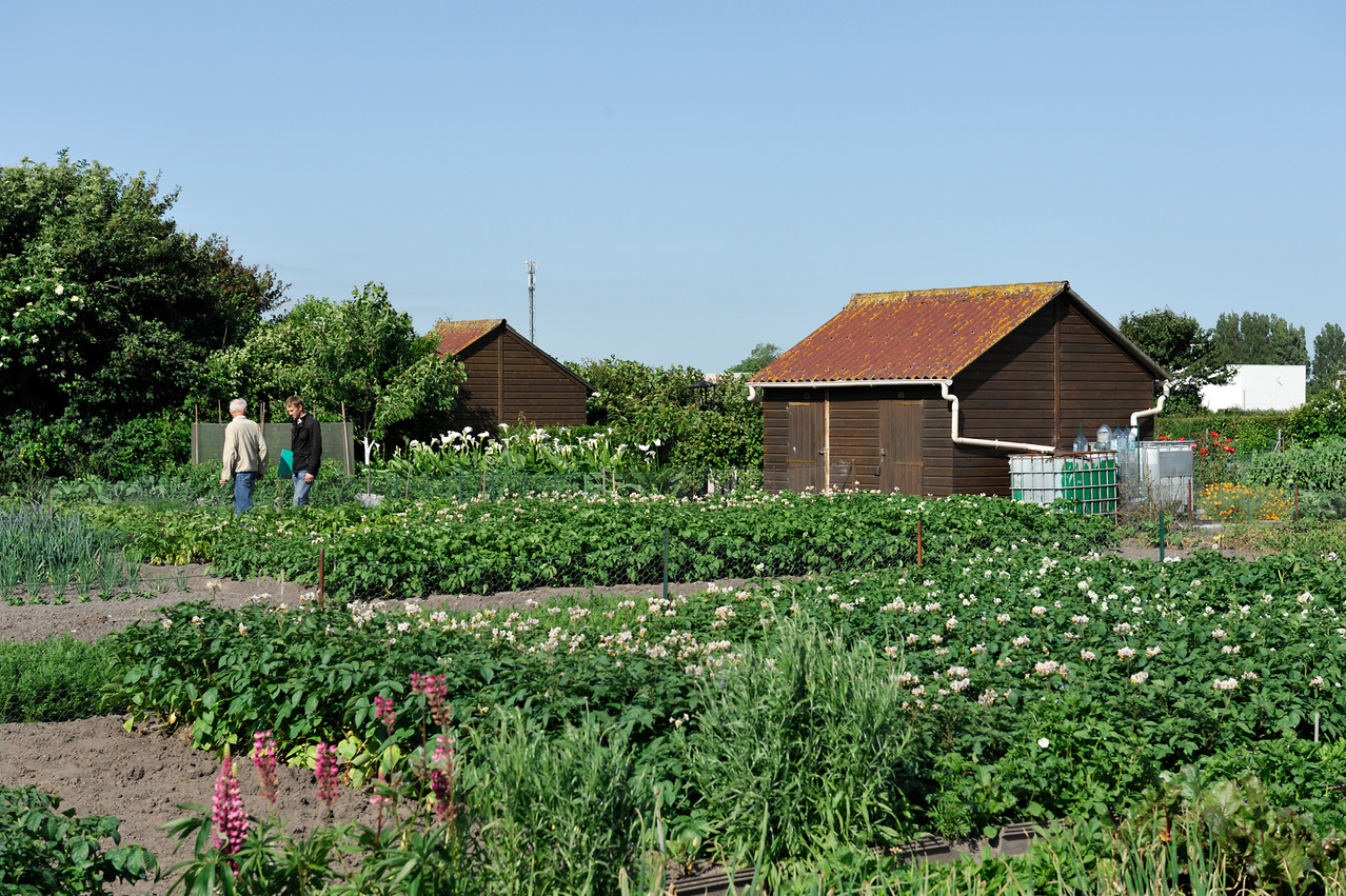 Calais par Richard Soberka