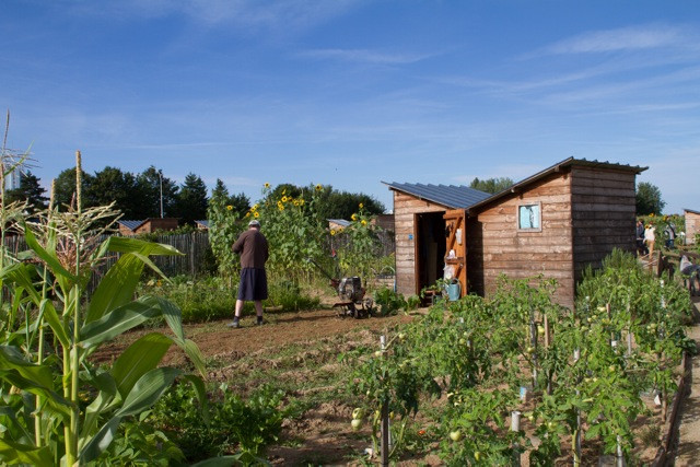 Les jardins familiaux par Sophie Mayeux