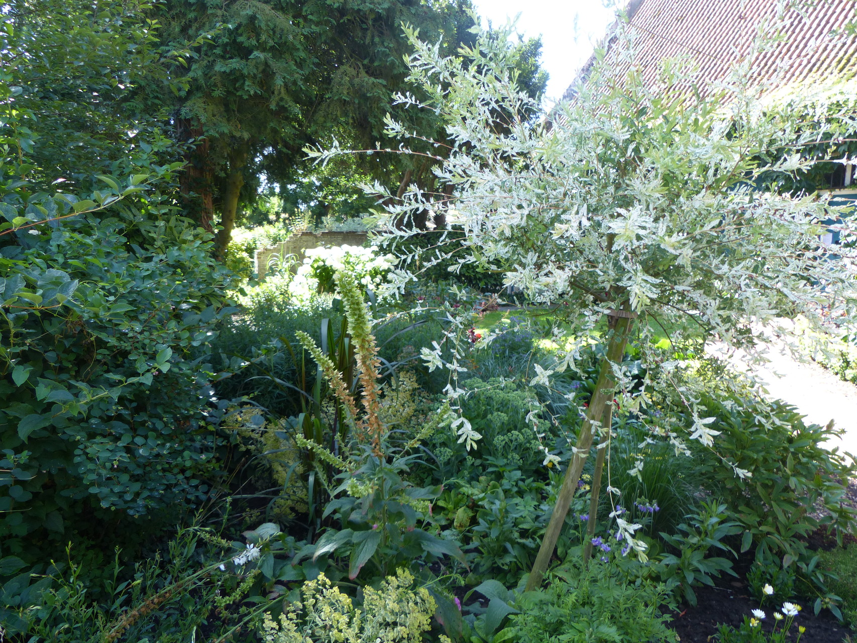 Crédit photos  : Carole Ruta - CRT