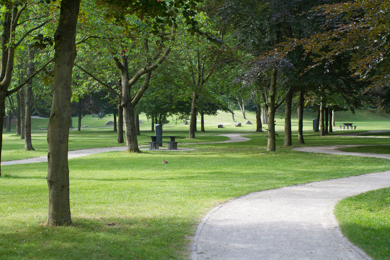 Parc d'Enchemont à Lesquin par Sophie Mayeux