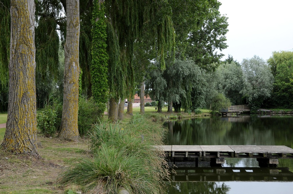 L'étang de Feuchy - Marc Demeure