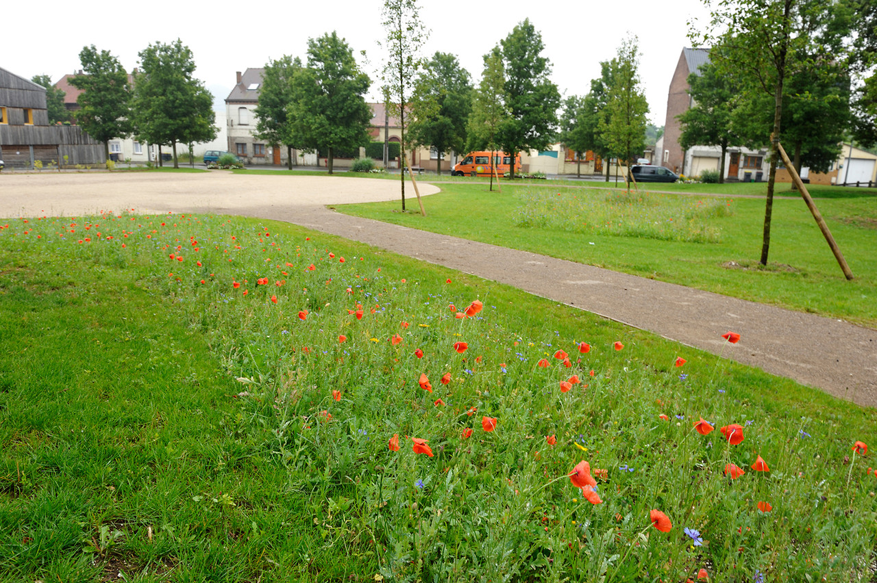 Loos-en-Gohelle par Richard Soberka
