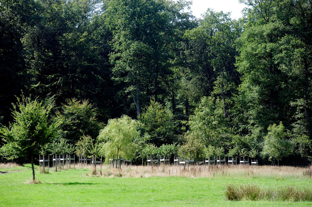 Pâture d'Haisne par Sebastien Jarry