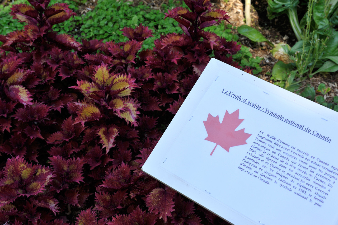 panneau explicatif par Richard Soberka