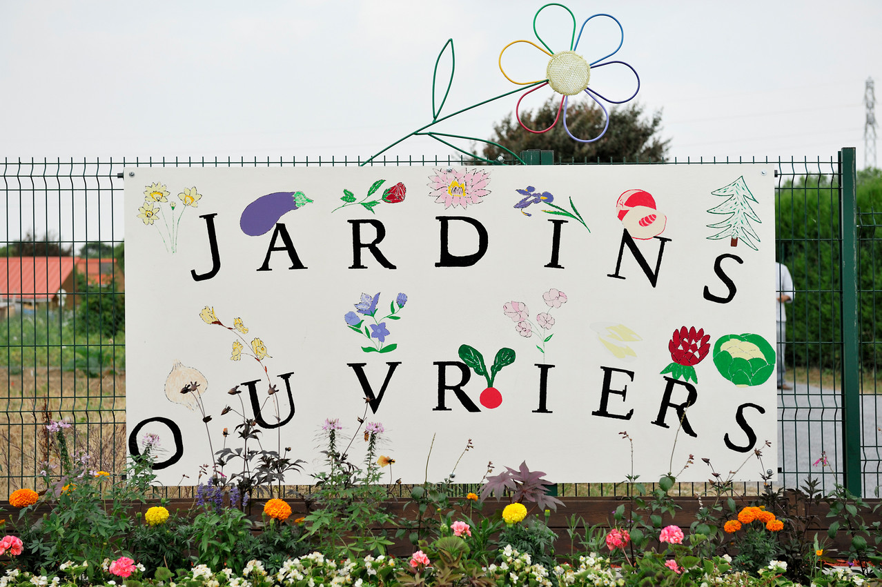 Waziers par Richard Soberka