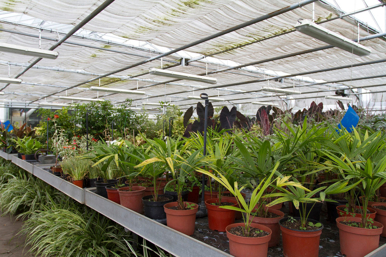 Espace Nature des Ogiers par Sophie Mayeux