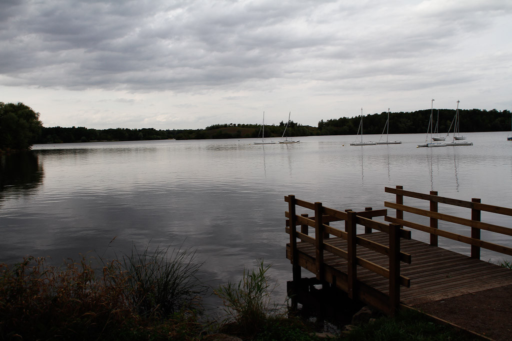 L'étang de Condé sur l'Escaut - Sophie Mayeux