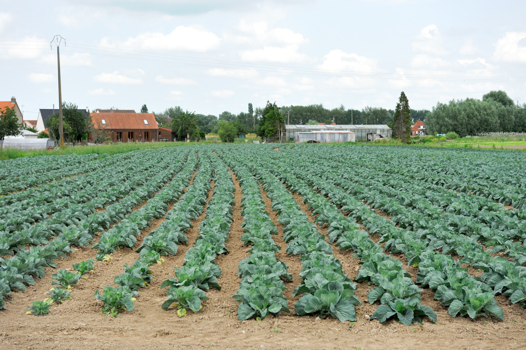 Saint-Omer, Marais Audomarois par Richard Soberka