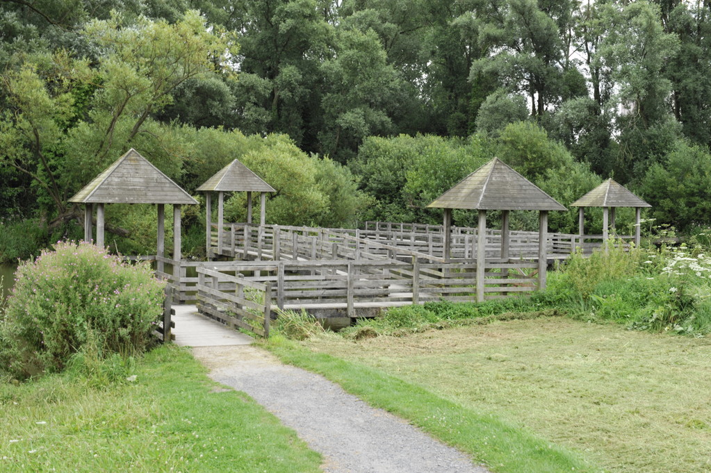 Balade dans le parc à Wavrin - Richard Soberka