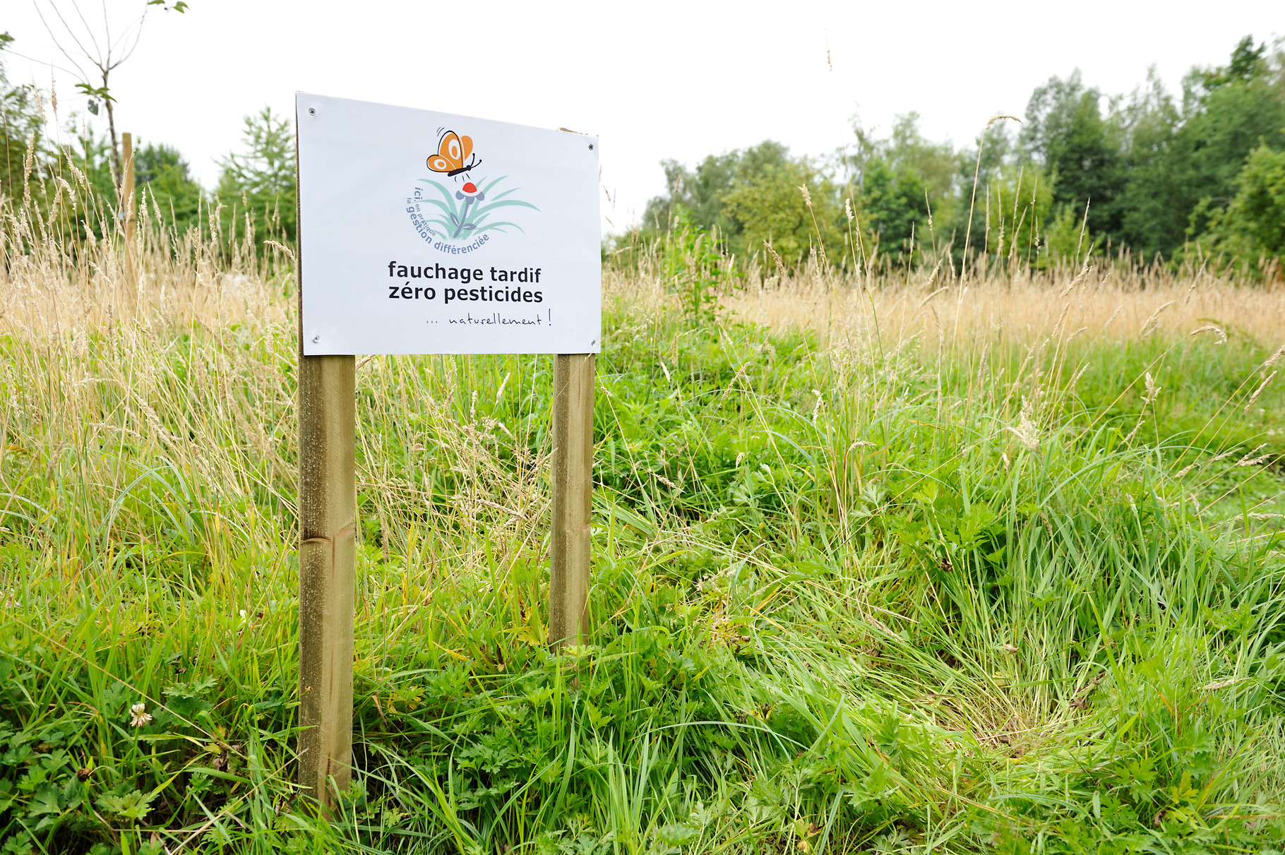 Panneau de sensibilisation à Rieulay par Richard Soberka