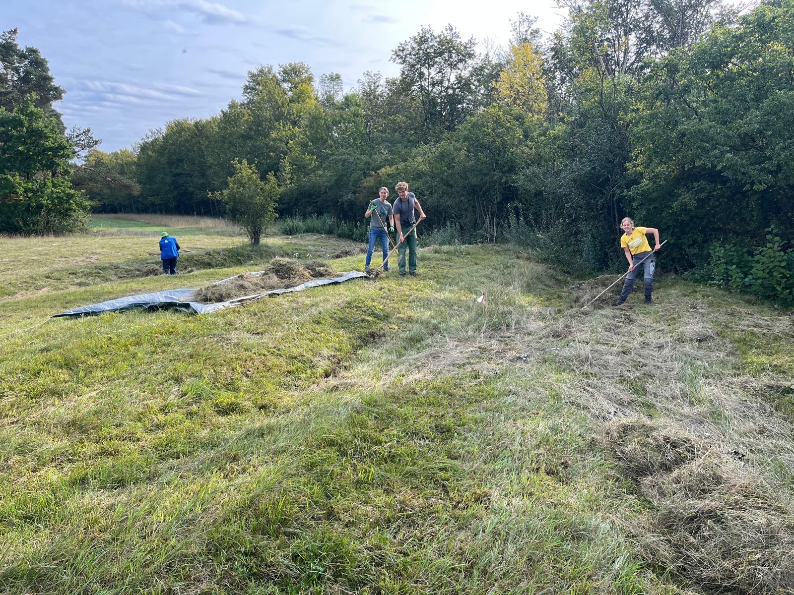 FreisingerBuckl Pflege