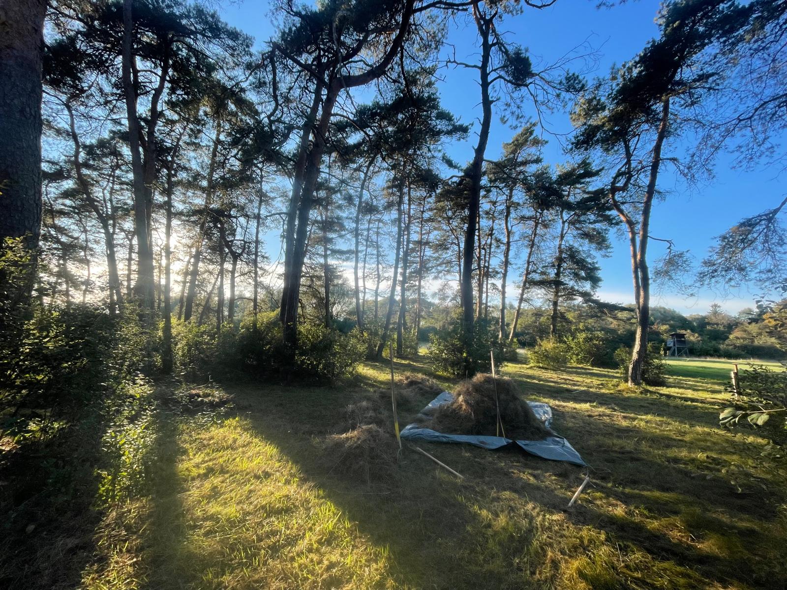 FreisingerBuckl Pflege