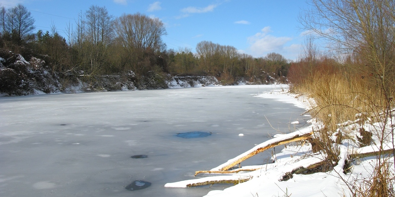 Westweiher im Winter