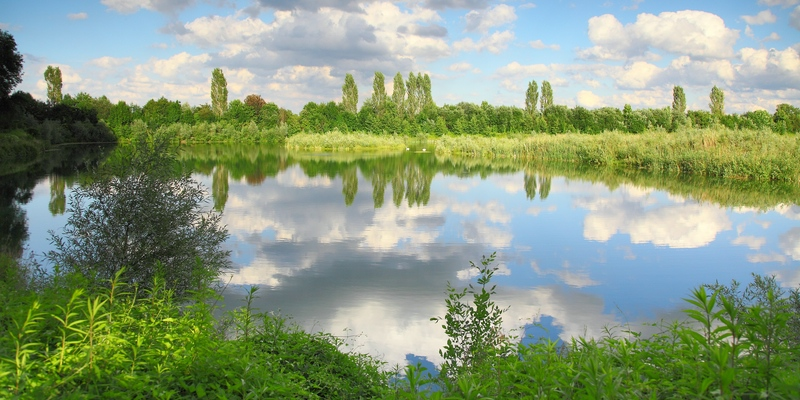 Der Ostweiher umschließt das Biotop Brandstadel