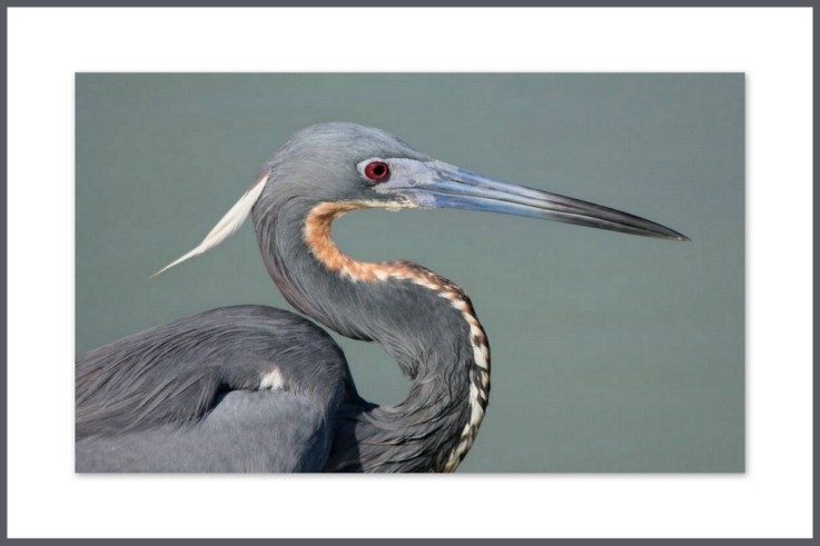 Photo de Léo et Célina (Canada )