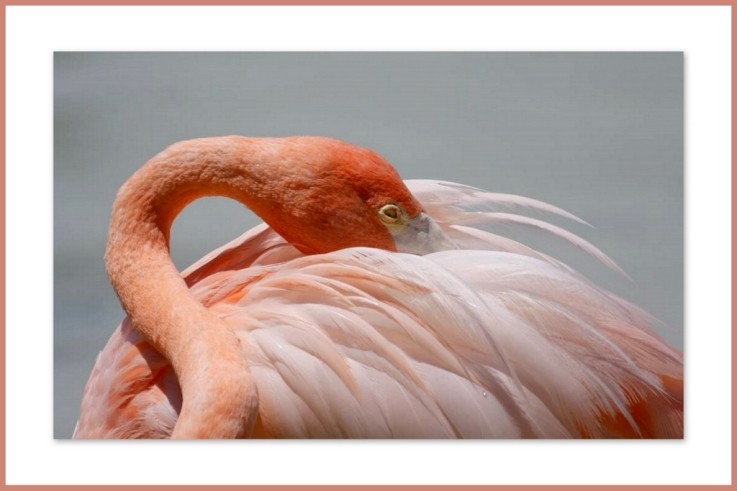 Photo de Léo et Célina (Canada )