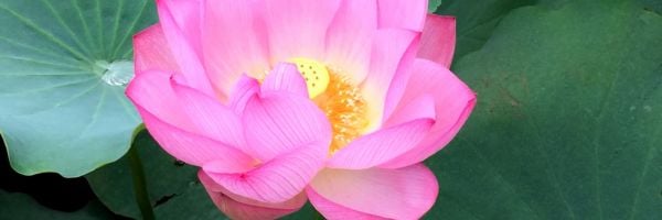 private salon *shriyam* @両国　