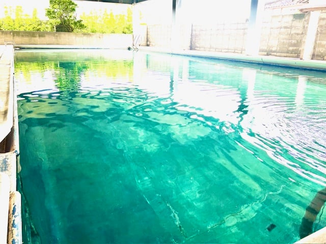 夏本番に向けてプールを開放しました