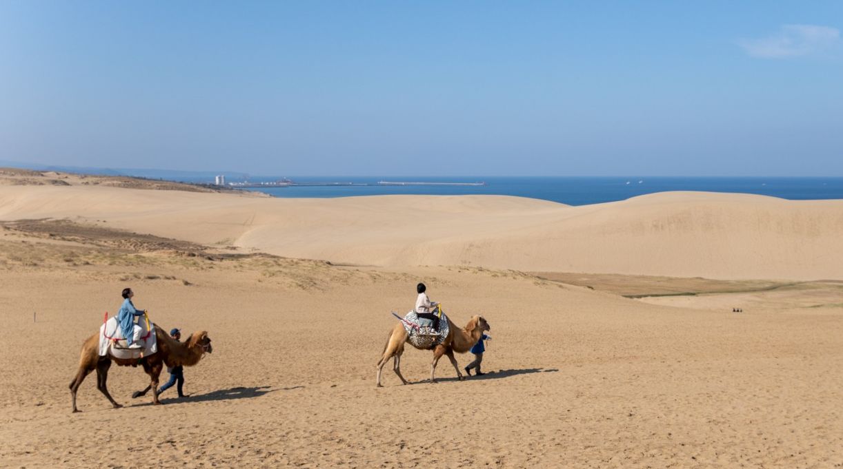 【期間延長決定！】鳥取市宿泊キャンペーン