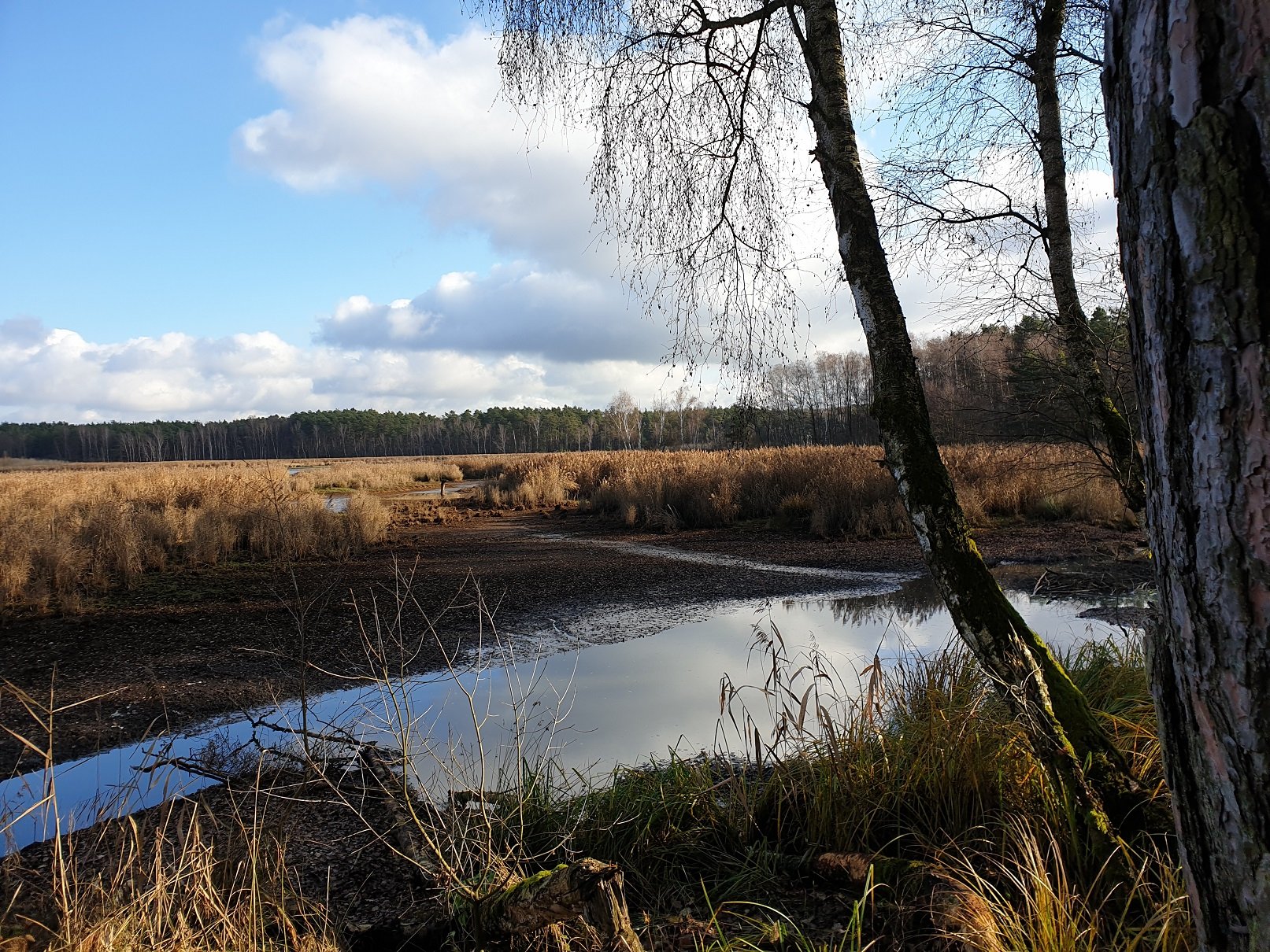 Hirtlohweiher bei Schwandorf (Foto: Götte)