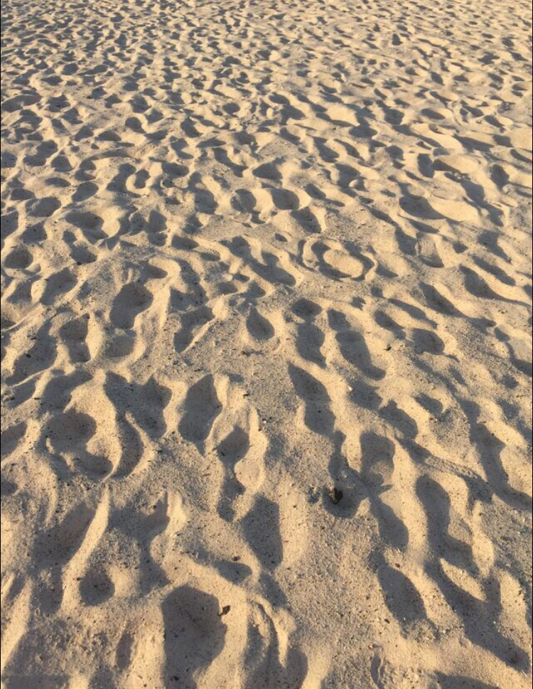 Strand von el Cotillo/ la Concha