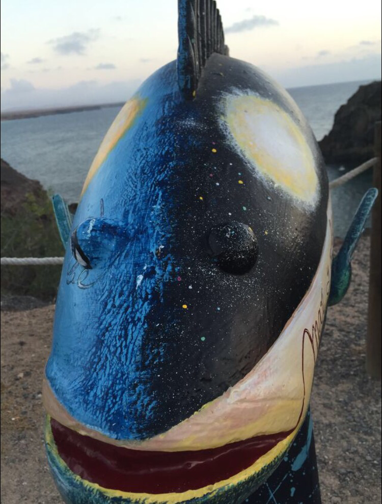 Hafen von el Cotillo