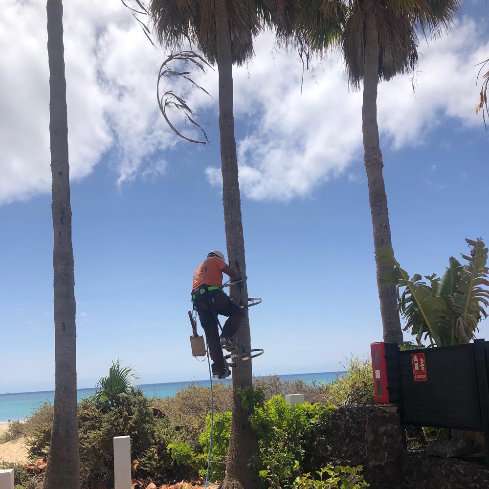 Es geht aufwärts...