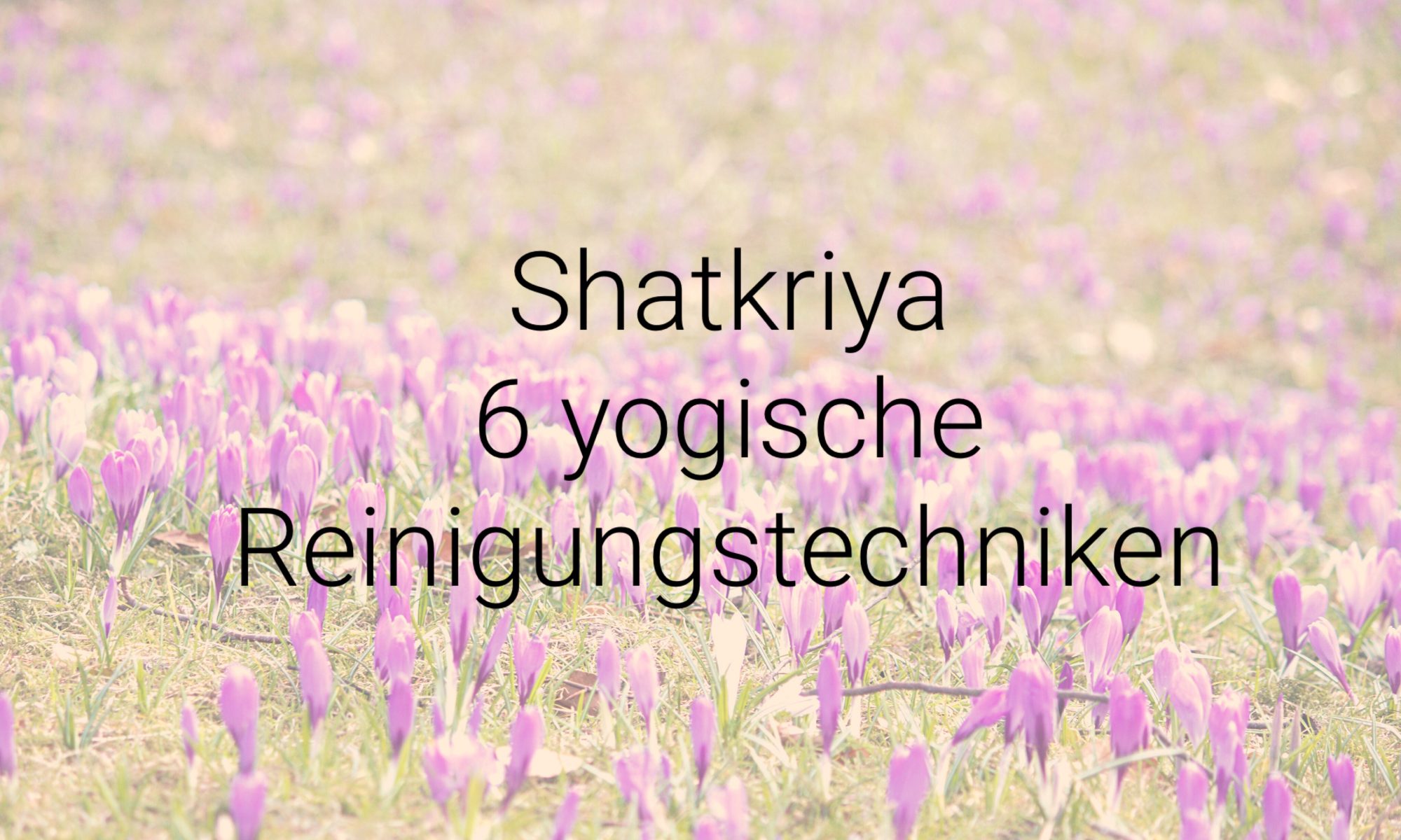 Shatkriya - 6 yogische Reinigungstechniken