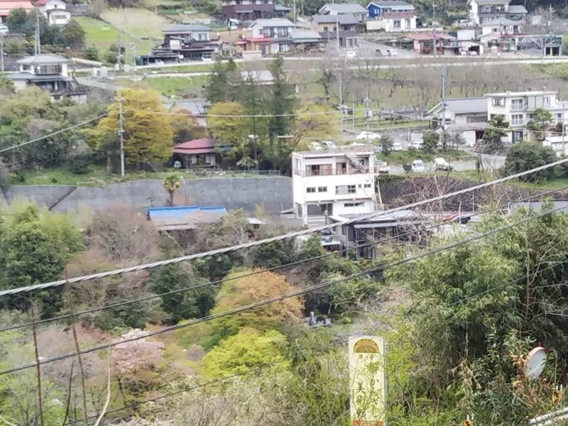 多摩川の反対側をたどる古道から、沢井マウンテンカフェの赤い屋根が見えます（中央白いビルの左奥！）