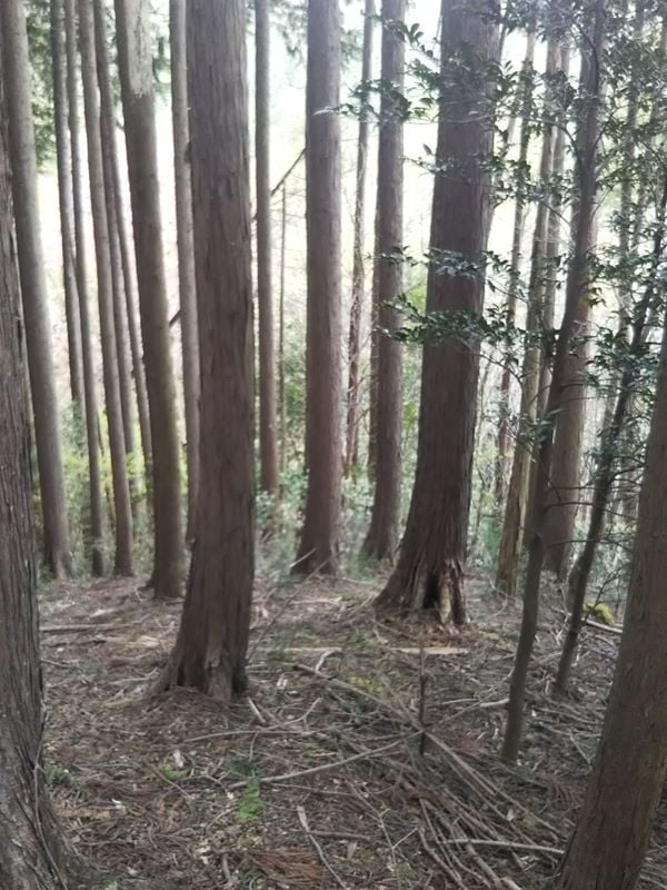 「山と高原」地図には載っていない点線ルートは地図読みの勉強にピッタリ！