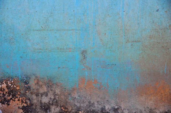 indian walls 2010_nr.12