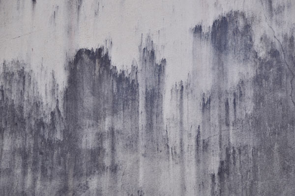 indian walls 2010_nr.13