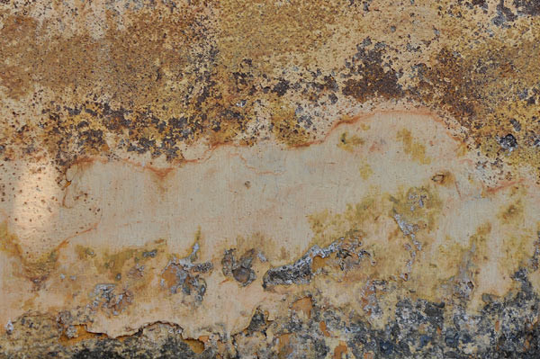 indian walls 2010_nr.6